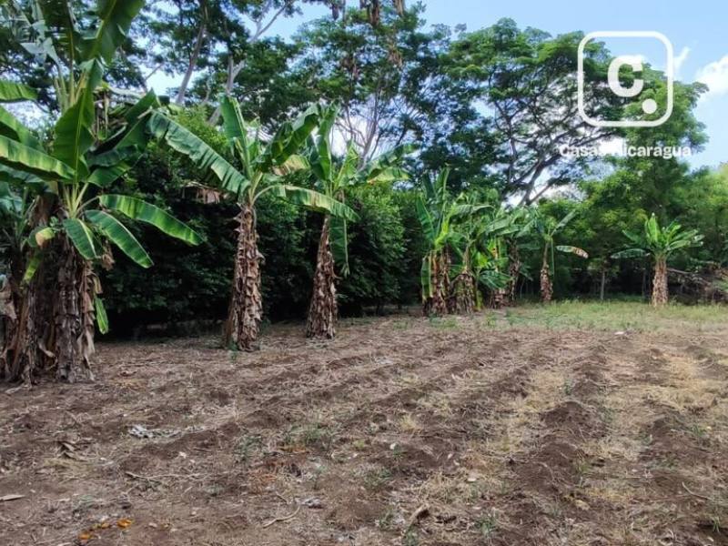 Terreno en venta en Managua – 5,043 varas²
