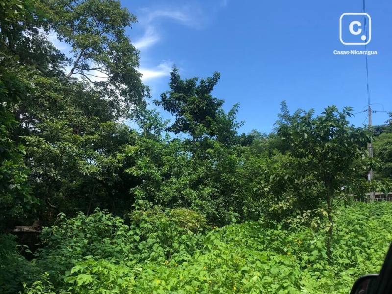 Local comercial en venta en Carretera Masaya, Managua – 3,025 varas²