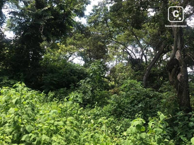 Local comercial en venta en Carretera Masaya, Managua – 3,025 varas²