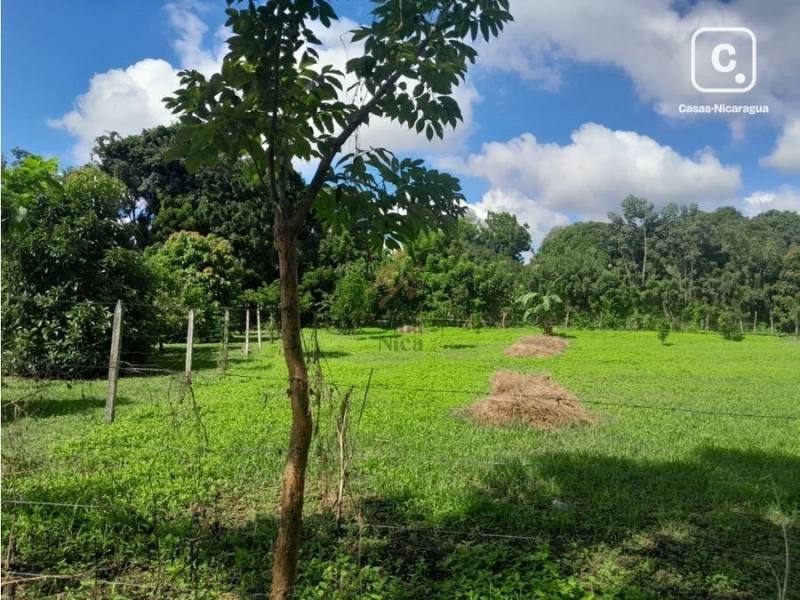 Terreno en venta en Nindirí, Masaya – 1,794 varas²