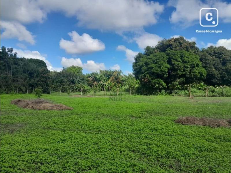 Terreno en venta en Nindirí, Masaya – 1,794 varas²