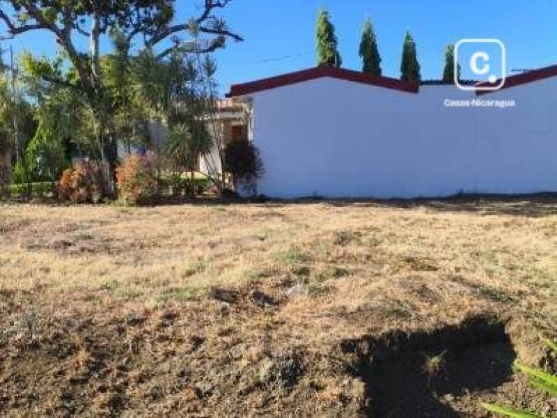 Terreno en venta en Colonia Managua, Managua – 504 varas²