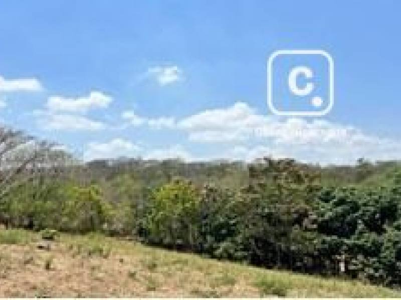 Finca en venta en Granada – 3,015,600 varas²