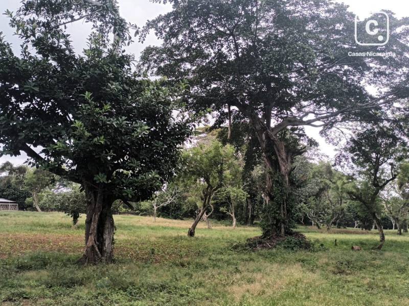 Finca en venta en San Marcos, Carazo – 20,180 varas²