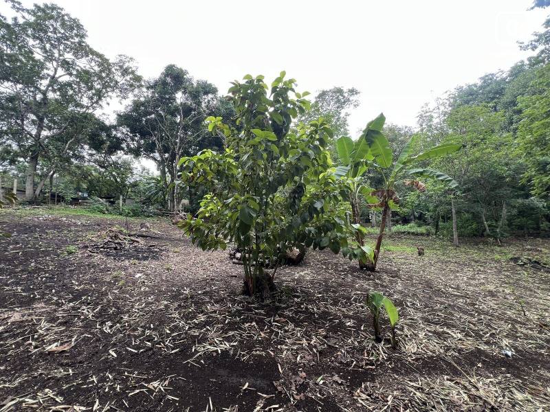 Terreno en venta en Masaya – 1,990 varas²