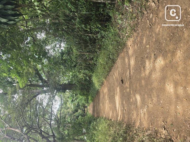 Terreno en venta en San Marcos, Carazo – 20,181 varas²