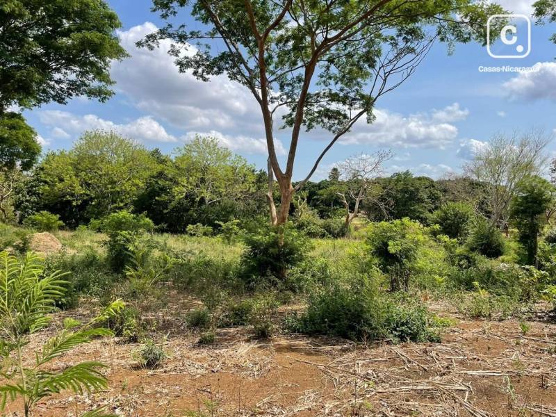 Terreno en venta en Nindirí, Masaya – 10,747 varas²