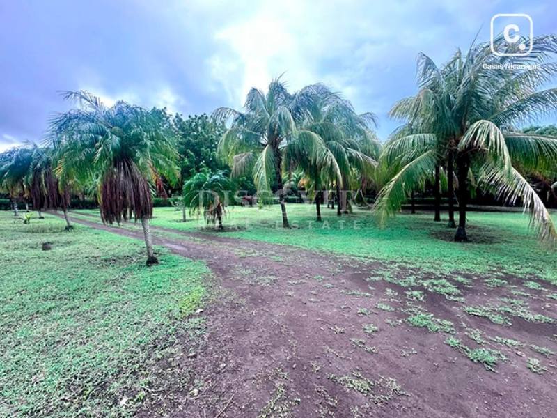 Finca en venta en Carretera Vieja a León, Managua – 40,000 varas²