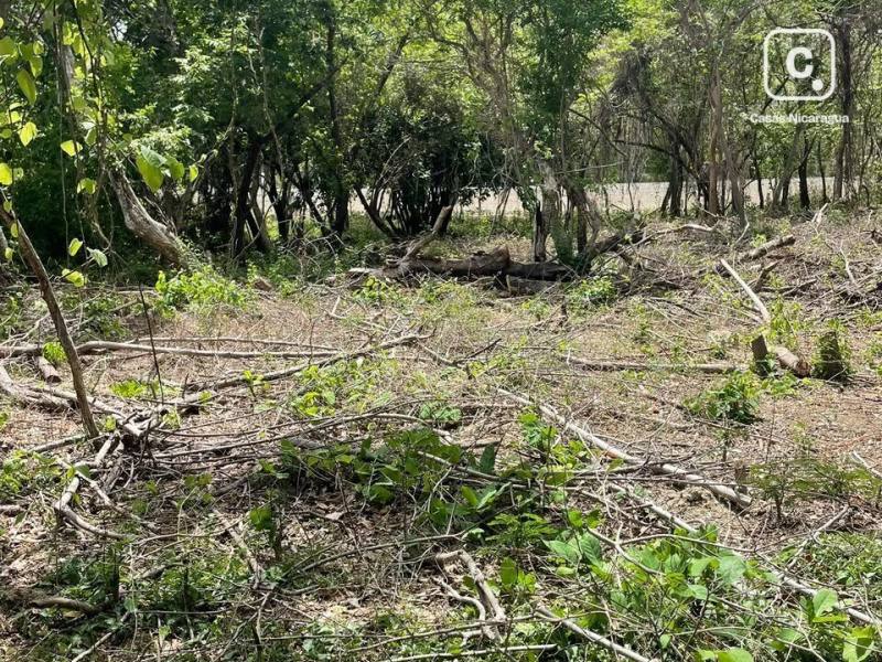 Terreno en venta en Tola, Rivas – 3,027 varas²