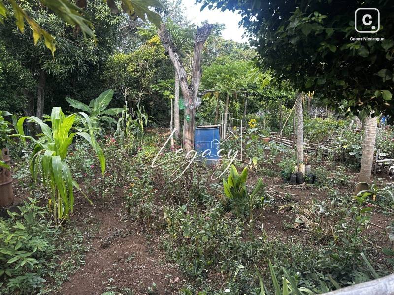 Finca en venta en Diriamba, Carazo – 64,100 varas²