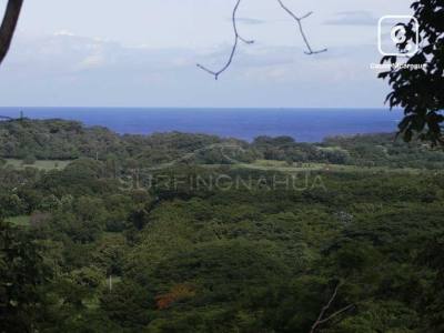 Terreno en venta en El Viejo, Chinandega – 11,294 varas²