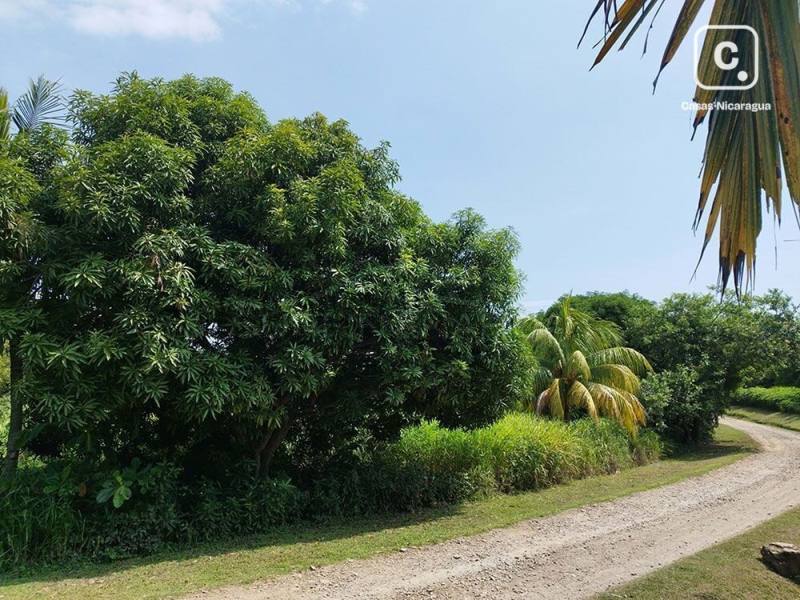 Terreno en venta en El Viejo, Chinandega – 5,792 varas²