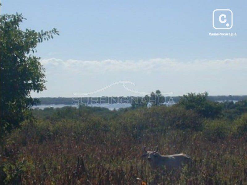 Terreno en venta en El Viejo, Chinandega – 115,840 varas²