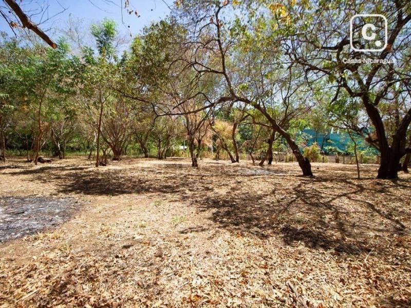 Terreno en venta en El Viejo, Chinandega – 1,795 varas²
