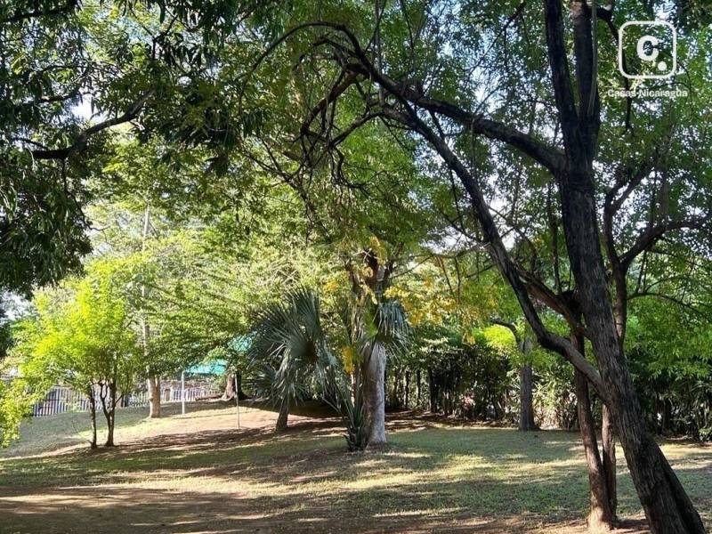 Terreno en venta en Santo Domingo, Managua – 3,543 varas²