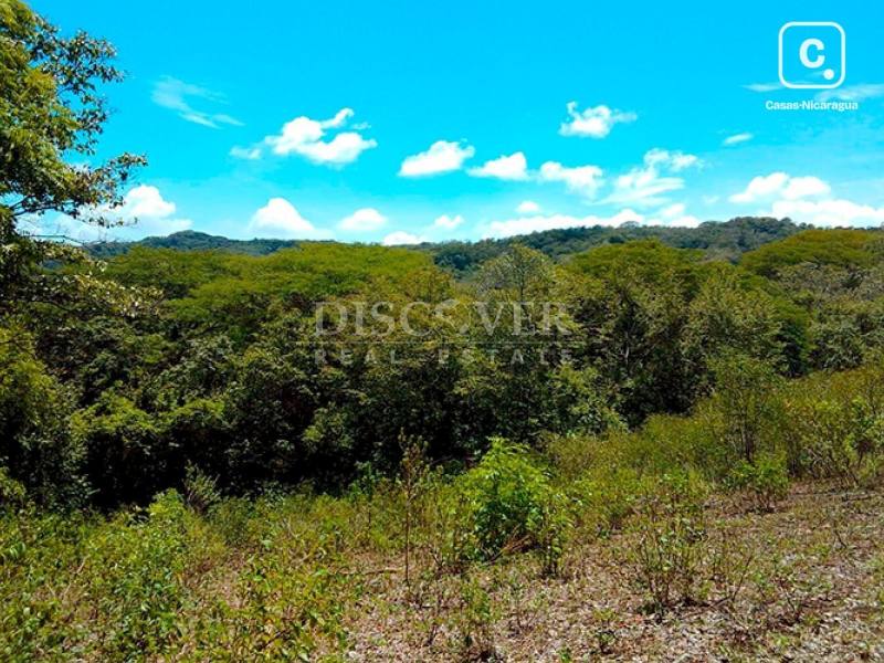 Terreno en venta en Carretera Vieja a León, Managua – 80,000 varas²