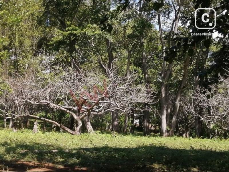 Terreno en venta en Masaya – 32,108 varas²