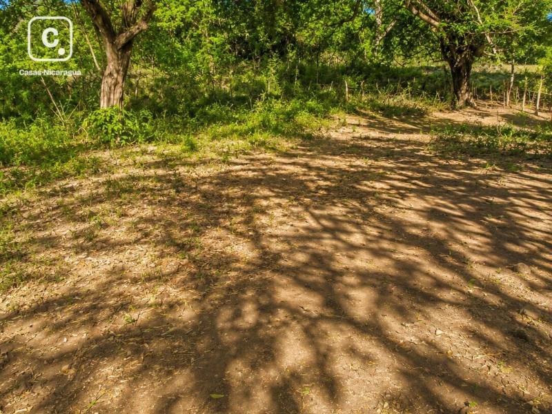 Finca en venta en León – 100 manzanas