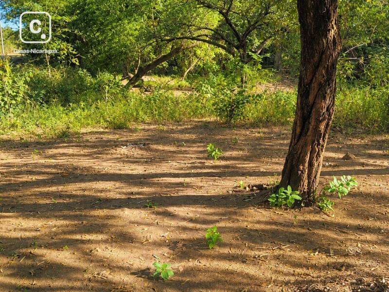 Finca en venta en León – 100 varas²