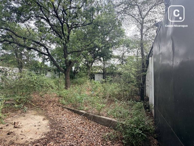 Terreno en venta en Mercado Oriental, Managua – 888 varas²