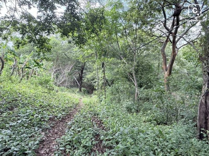 Terreno en venta en Carazo – 118,793 varas²