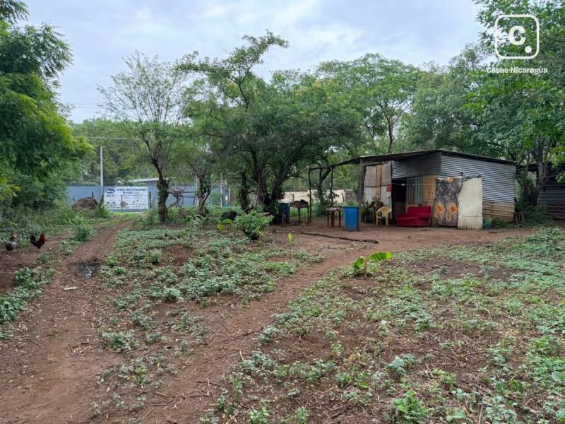 Bodega en venta en Veracruz, Managua – 43,002 varas²