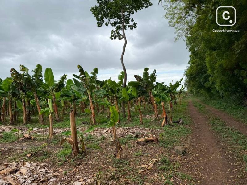 Bodega en venta en Veracruz, Managua – 43,002 varas²