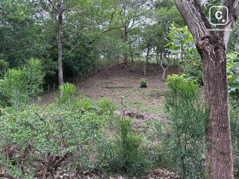 Local comercial en venta en Villa Fontana Sur, Managua – 5,825 varas²