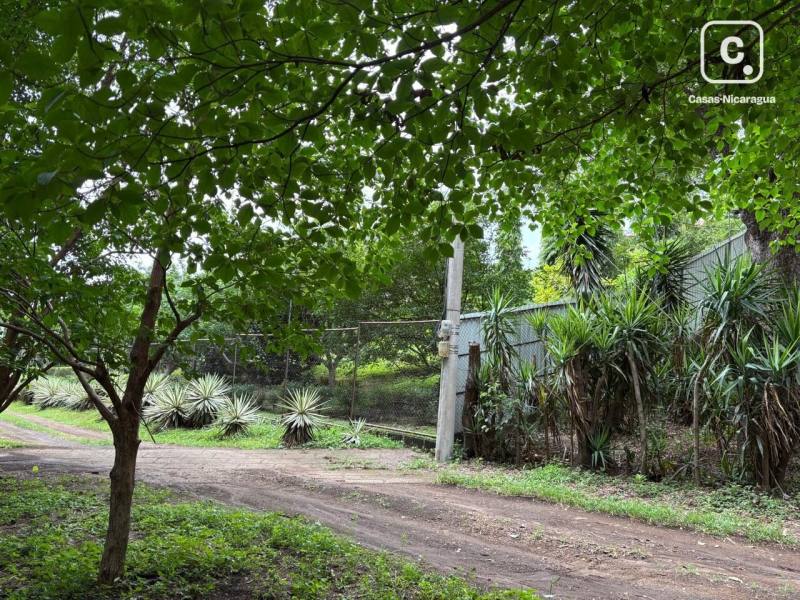 Local comercial en venta en Villa Fontana Sur, Managua – 5,825 varas²