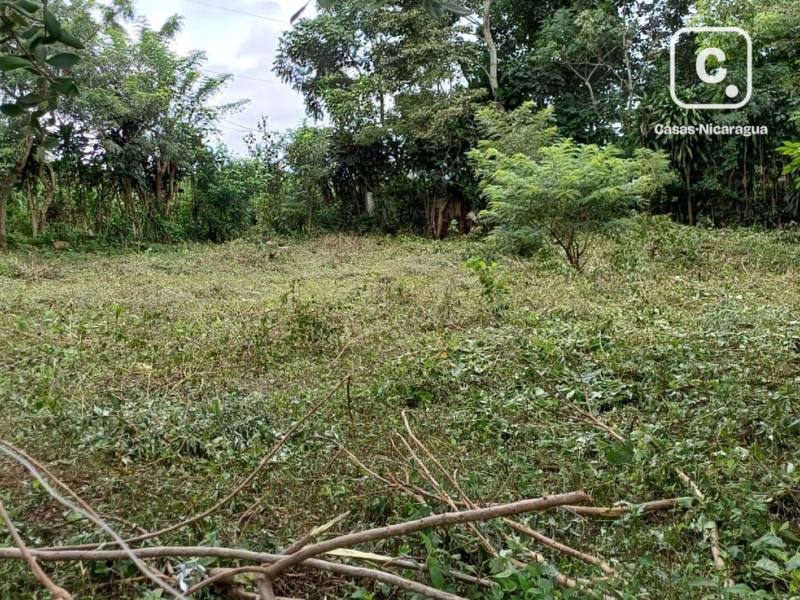 Terreno en venta en San Marcos, Carazo – 618 varas²
