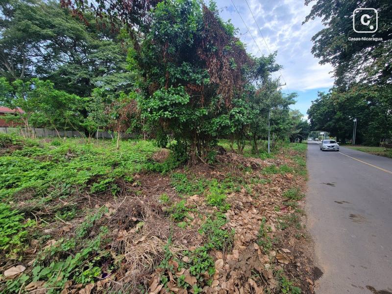 Local comercial en venta en Carretera Vieja a León, Managua – 2,229 varas²