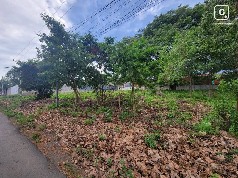 Terreno en venta en Carretera Vieja a León, Managua – 2,210 varas²