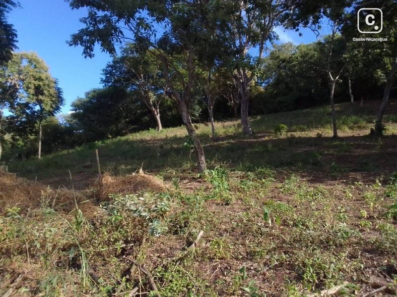 Venta de finca de 36 Mz en comarca San Pedro.