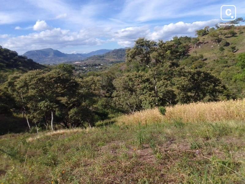 Venta de finca de 36 Mz en comarca San Pedro.