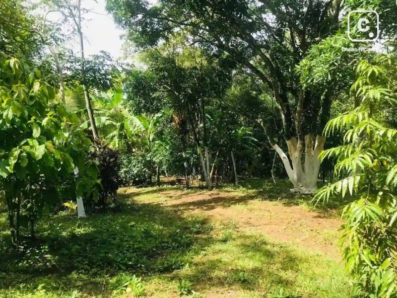 Finca en venta en Masaya – 1 hab, 100 m²