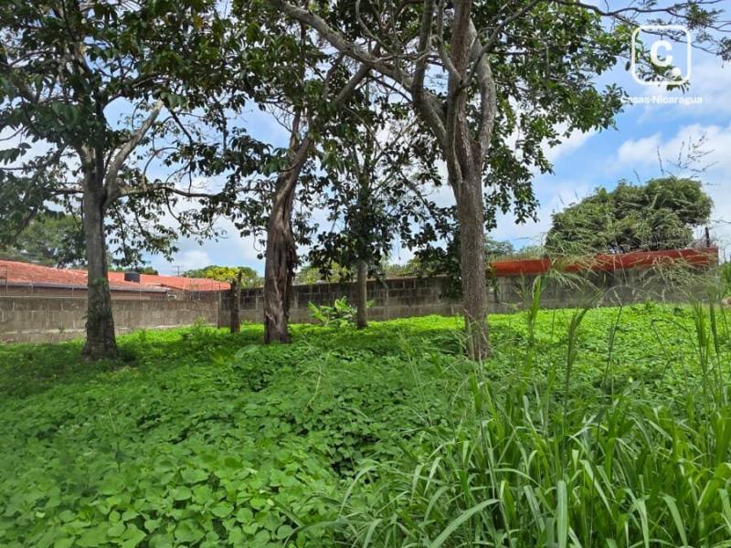 Local comercial en venta en Masaya – 1,577 varas²