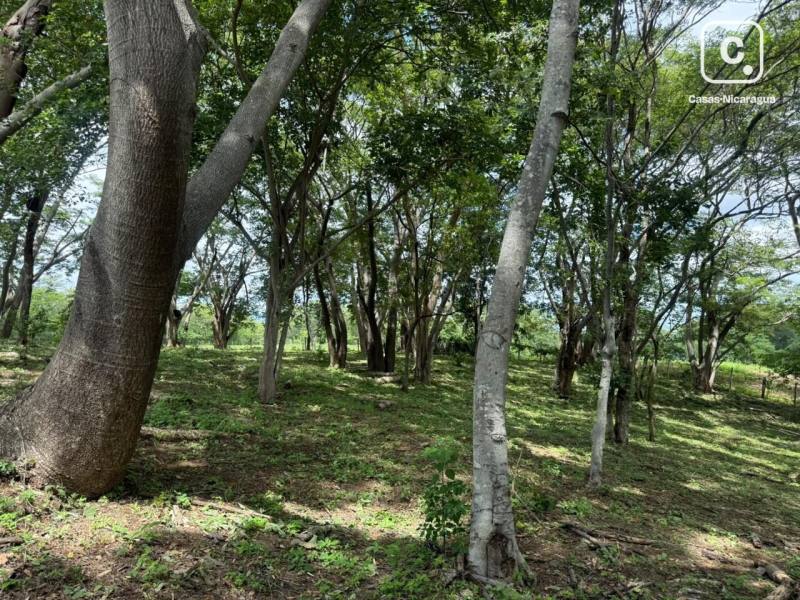 Terreno en venta en San Isidro de Bolas, Managua – 3,000 varas²