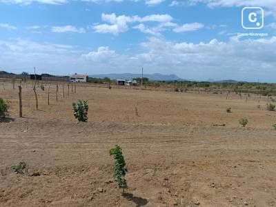 Terreno en venta en Ciudad Sandino, Managua – 302 varas²