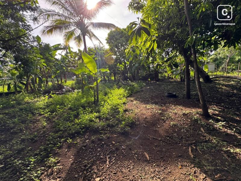 Terreno en venta en Masaya – 705 varas²