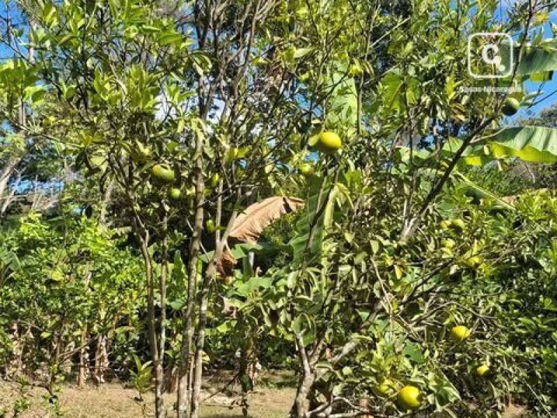 Finca en venta en Masatepe, Masaya – 90,181 varas²
