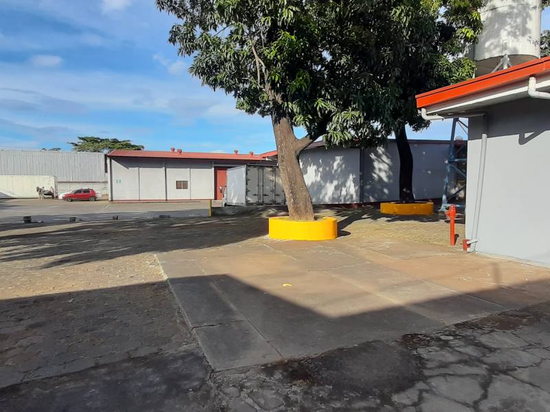 Se alquila Bodega de 800 m2 carretera norte