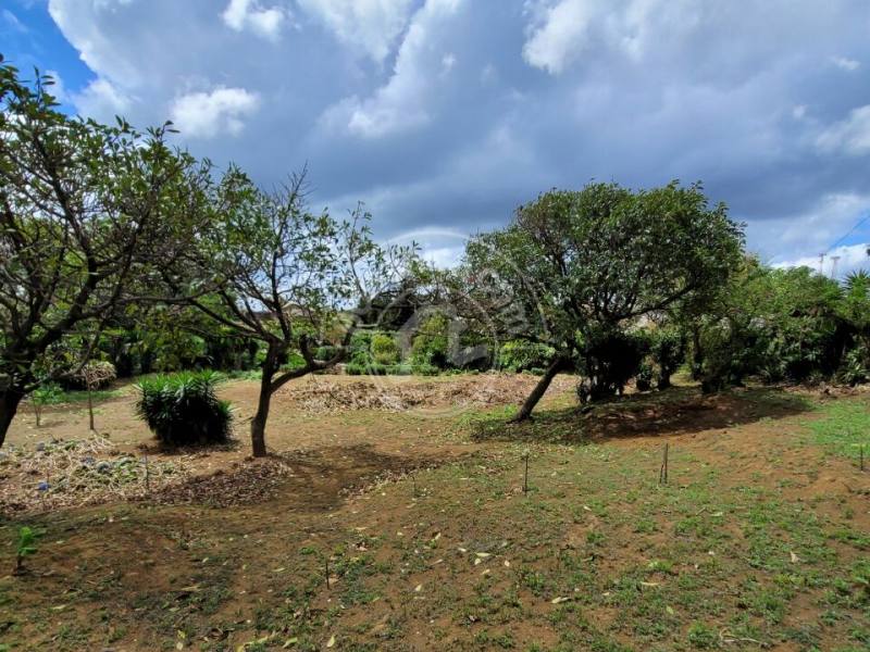 Venta de Finca en Carretera Sur