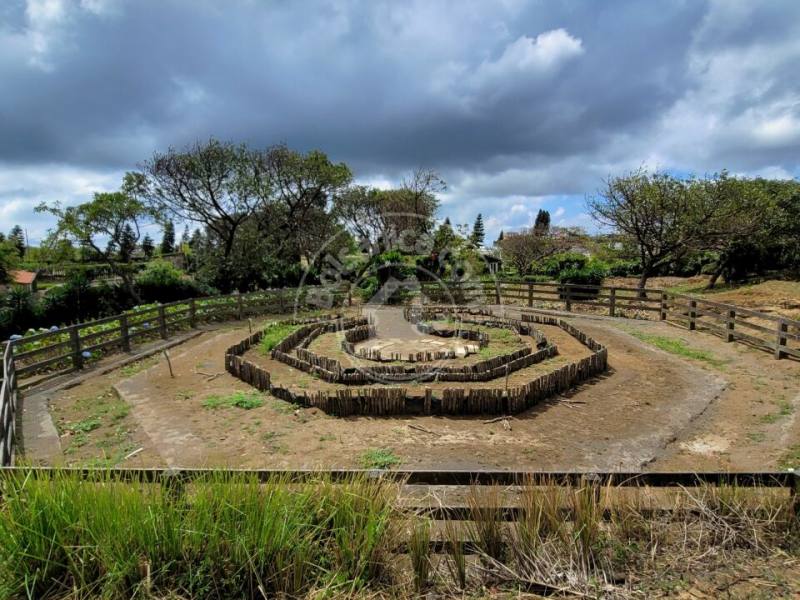 Venta de Finca en Carretera Sur