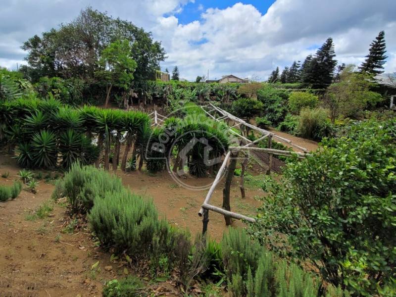 Venta de Finca en Carretera Sur
