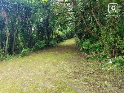 Finca en venta en Carretera Sur, Managua – 3 hab