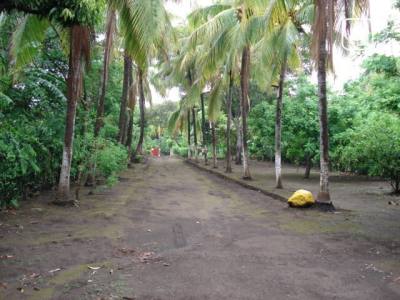 Terreno en venta en Carretera Masaya, Managua – 70,000 varas²