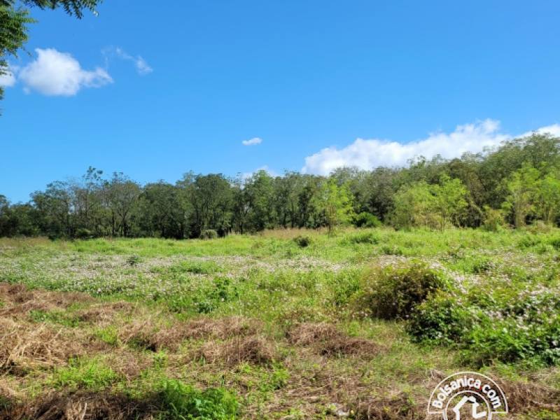 Venta de Terreno Sabana Grande, Managua