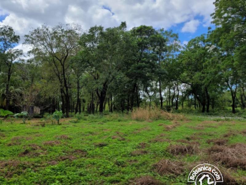 Venta de Terreno Sabana Grande, Managua