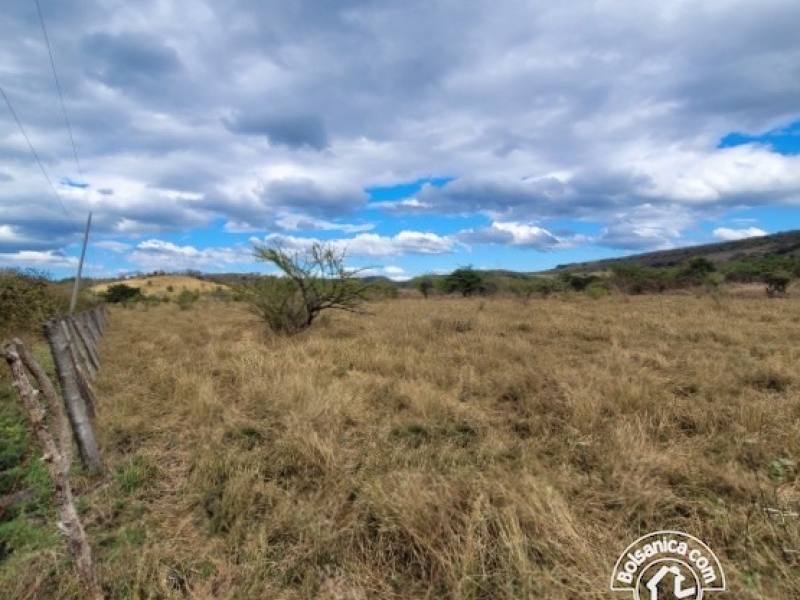 Venta de Finca en San Francisco Libre
