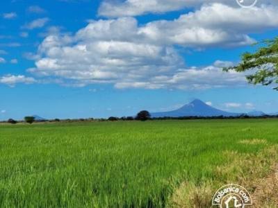 Venta de finca ganadera y agrícola en San Francisco Libre